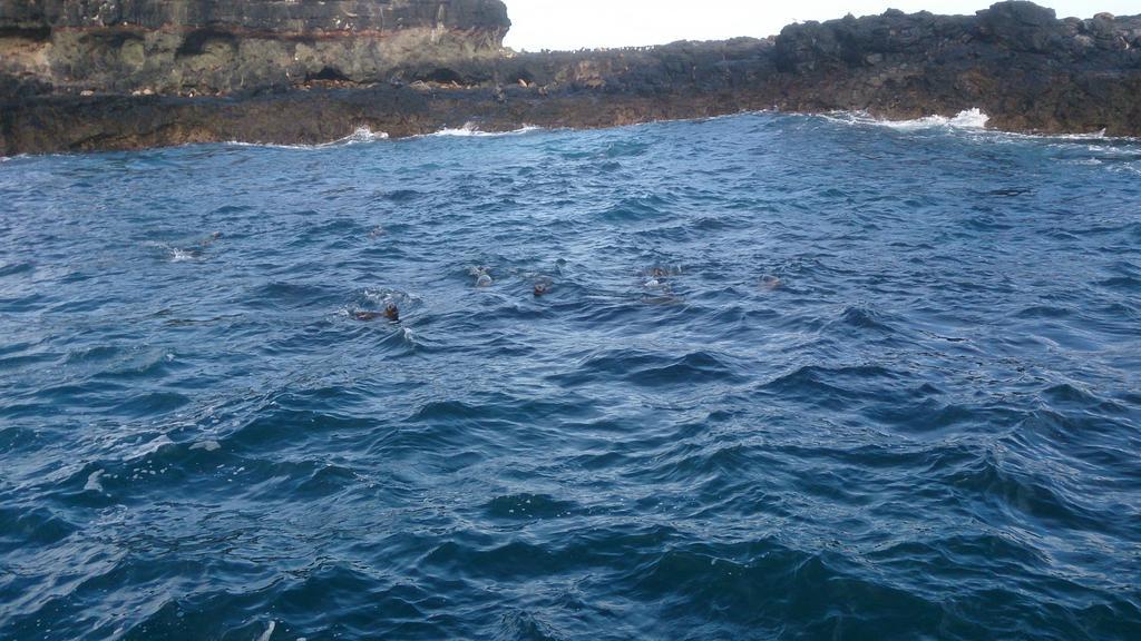 Phillip Island Cottages Cowes Esterno foto