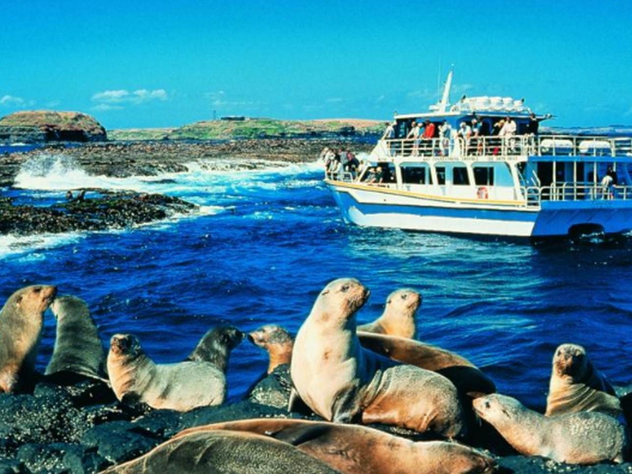 Phillip Island Cottages Cowes Esterno foto